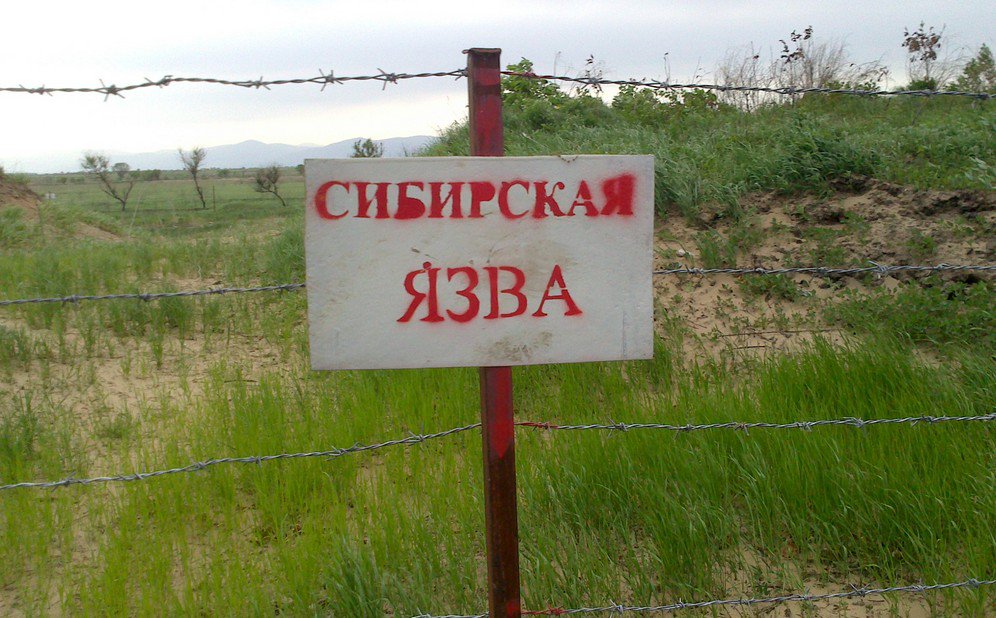 not found